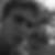 Profilbild von Tim Scheibe