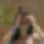 Profilbild von Sabrina Klose