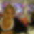 Profilbild von Christina Käsweber