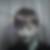 Profilbild von Udo Hagelgans