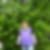 Profilbild von Beate Braun