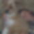 Profilbild von Elisabeth Hornberger