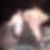 Profilbild von Albert Rosin