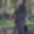 Profilbild von Susanne Foerster