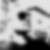 Profilbild von Matthias Blume