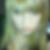 Profilbild von Jasmin Boecking