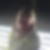 Profilbild von Sabrina Tix