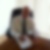 Profilbild von Per Dittkuhn