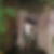 Profilbild von Ray Gerth