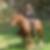 Profilbild von Andrea Windt