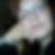 Profilbild von Nicole Friedrich