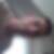 Profilbild von Jens Kodoll