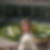 Profilbild von Claudia Reule