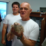 Profilfoto von Detlef Gottschall