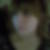 Profilbild von Eileen Kießig