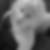 Profilbild von Stephanie Barkschat