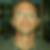 Profilbild von Michael Schreiber