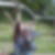 Profilbild von Sandra Gesper