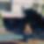 Profilbild von Jana Doppler