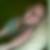 Profilbild von Anja Schüller