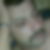 Profilbild von Günter Fahrmeir