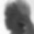 Profilbild von Elvira Dahlbüdding-Kaluza