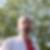 Profilbild von Peter Raphael