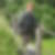 Profilbild von Sabine Wussack