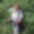 Profilbild von Sylvia Storck