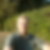 Profilbild von Stefan Meyer