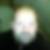 Profilbild von Andreas Born