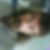 Profilbild von Thomas Herboth
