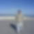 Profilbild von Thorsten Blum