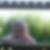 Profilbild von Christina Dammann