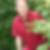 Profilbild von Christian Raabe
