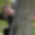 Profilbild von Heike Zitzow