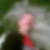Profilbild von Detlef Kösling