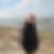 Profilbild von Dirk Hasenbein