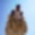 Profilbild von Thomas Lootze