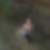 Profilbild von Ines Bulach