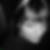 Profilbild von Maria Petzold