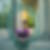 Profilbild von Silke Sternberg