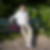 Profilbild von Ralf Exner