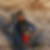 Profilbild von Lars Grosse
