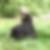 Profilbild von Miriam Gerks