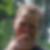 Profilbild von Roland Münzner-Rieseweber