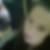 Profilbild von Daniela Dick
