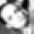 Profilbild von Gaby Krey