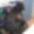 Profilbild von Manuela Blumer