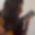 Profilbild von Stefanie Schrembs